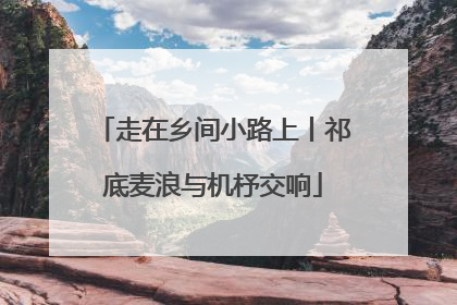 走在乡间小路上丨祁底麦浪与机杼交响