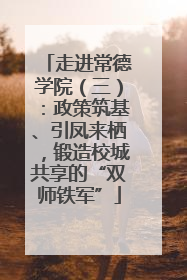 走进常德学院（三）：政策筑基、引凤来栖，锻造校城共享的“双师铁军”