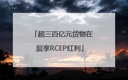 超三百亿元货物在厦享RCEP红利
