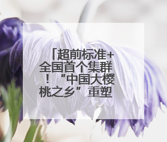 超前标准+全国首个集群！“中国大樱桃之乡”重塑产业标杆