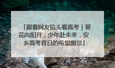 跟着网友镜头看高考｜葵花向阳开，少年赴未来，安乡高考首日的希望图景