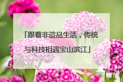 跟着非遗品生活，传统与科技相遇宝山滨江