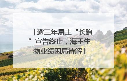 逾三年易主“长跑”宣告终止，海王生物业绩困局待解