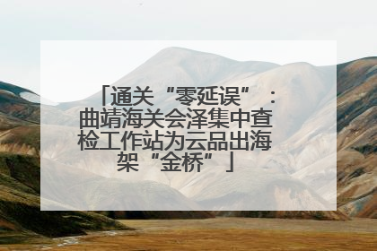 通关“零延误”：曲靖海关会泽集中查检工作站为云品出海架“金桥”