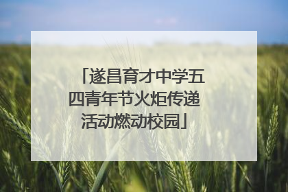 遂昌育才中学五四青年节火炬传递活动燃动校园