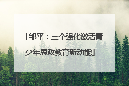 邹平：三个强化激活青少年思政教育新动能