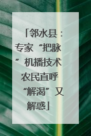 邻水县：专家“把脉”机播技术 农民直呼“解渴”又解惑