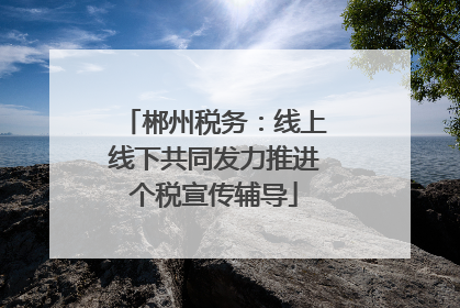 郴州税务：线上线下共同发力推进个税宣传辅导