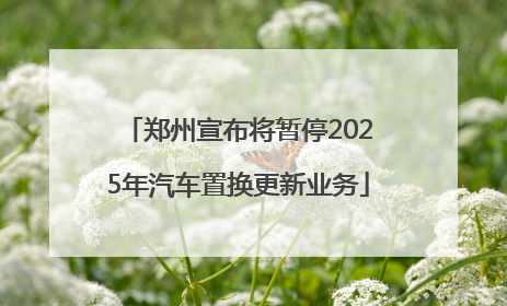 郑州宣布将暂停2025年汽车置换更新业务