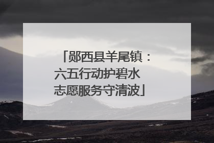 郧西县羊尾镇：六五行动护碧水 志愿服务守清波