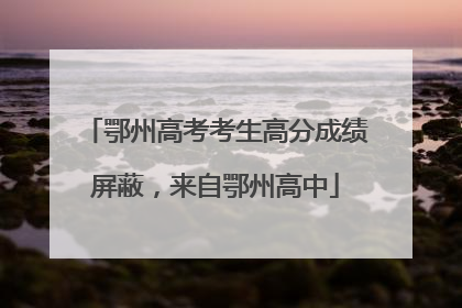 鄂州高考考生高分成绩屏蔽，来自鄂州高中