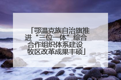 鄂温克族自治旗推进“三位一体”综合合作组织体系建设 牧区改革成果丰硕