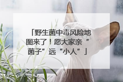 野生菌中毒风险地图来了！愿大家亲“菌子”远“小人”
