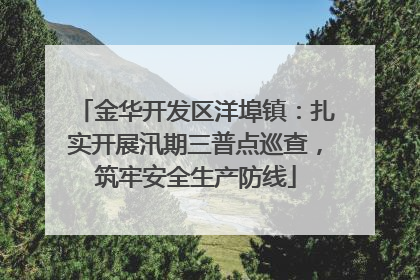 金华开发区洋埠镇：扎实开展汛期三普点巡查，筑牢安全生产防线