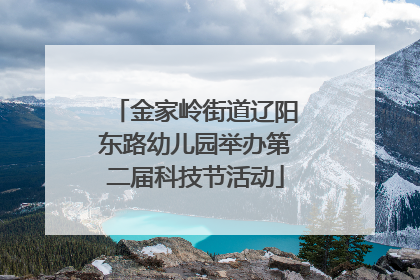 金家岭街道辽阳东路幼儿园举办第二届科技节活动