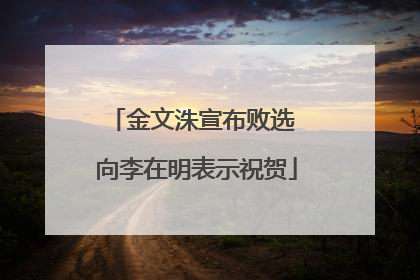 金文洙宣布败选 向李在明表示祝贺