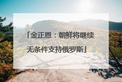 金正恩：朝鲜将继续无条件支持俄罗斯