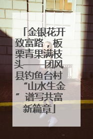 金银花开致富路，板栗青果满枝头——团风县钓鱼台村“山水生金”谱写共富新篇章