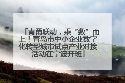 青甬联动，乘“数”而上！青岛市中小企业数字化转型城市试点产业对接活动在宁波开班