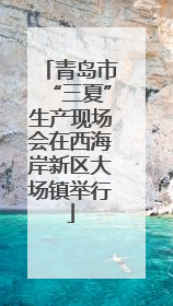 青岛市“三夏”生产现场会在西海岸新区大场镇举行