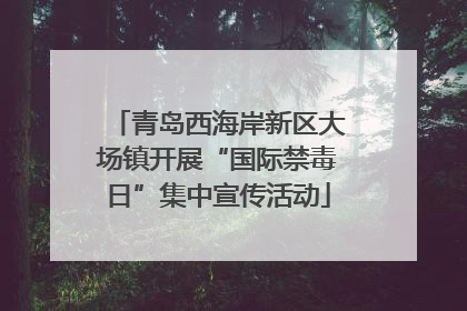 青岛西海岸新区大场镇开展“国际禁毒日”集中宣传活动