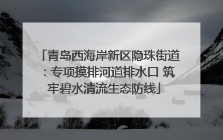 青岛西海岸新区隐珠街道：专项摸排河道排水口 筑牢碧水清流生态防线