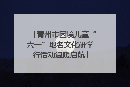 青州市困境儿童“六一”地名文化研学行活动温暖启航