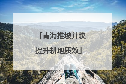 青海推坡并块提升耕地质效