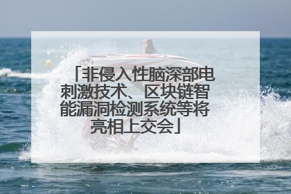 非侵入性脑深部电刺激技术、区块链智能漏洞检测系统等将亮相上交会