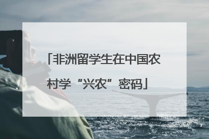 非洲留学生在中国农村学“兴农”密码