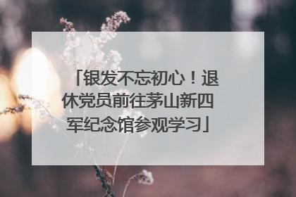银发不忘初心！退休党员前往茅山新四军纪念馆参观学习