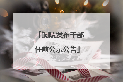 铜陵发布干部任前公示公告
