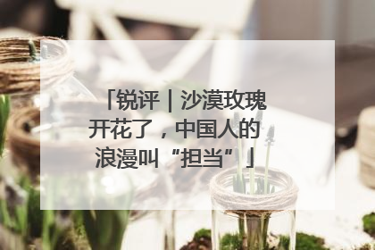 锐评｜沙漠玫瑰开花了，中国人的浪漫叫“担当”