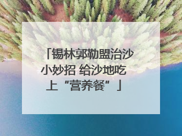 锡林郭勒盟治沙小妙招 给沙地吃上“营养餐”