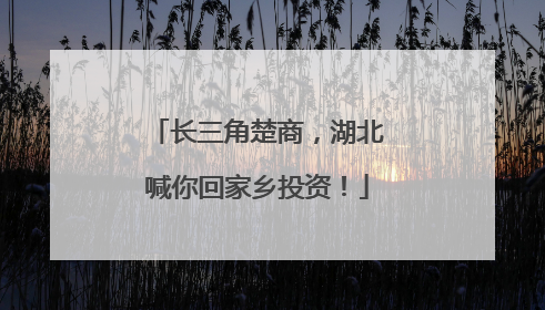 长三角楚商，湖北喊你回家乡投资！
