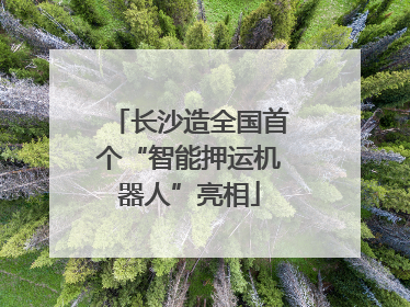 长沙造全国首个“智能押运机器人”亮相