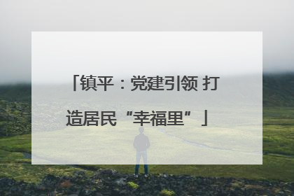 镇平：党建引领 打造居民“幸福里”