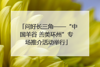 问好长三角——“中国羊谷 善美环州”专场推介活动举行
