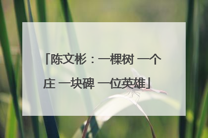 陈文彬：一棵树 一个庄 一块碑 一位英雄