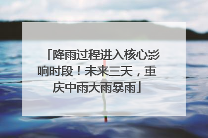 降雨过程进入核心影响时段！未来三天，重庆中雨大雨暴雨