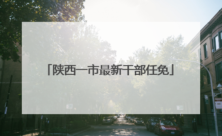陕西一市最新干部任免