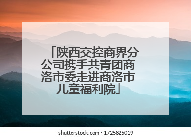 陕西交控商界分公司携手共青团商洛市委走进商洛市儿童福利院