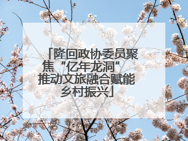 隆回政协委员聚焦“亿年龙洞” 推动文旅融合赋能乡村振兴