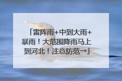 雷阵雨+中到大雨+暴雨！大范围降雨马上到河北！注意防范→