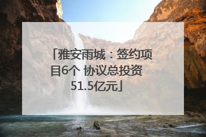 雅安雨城：签约项目6个 协议总投资51.5亿元