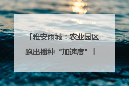 雅安雨城：农业园区跑出播种“加速度”