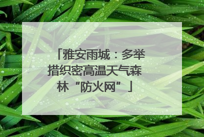 雅安雨城：多举措织密高温天气森林“防火网”