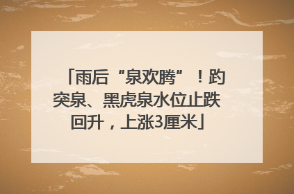 雨后“泉欢腾”！趵突泉、黑虎泉水位止跌回升，上涨3厘米