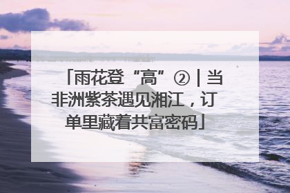 雨花登“高”②｜当非洲紫茶遇见湘江，订单里藏着共富密码