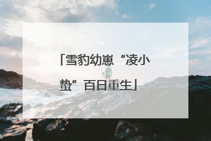 雪豹幼崽“凌小蛰”百日重生